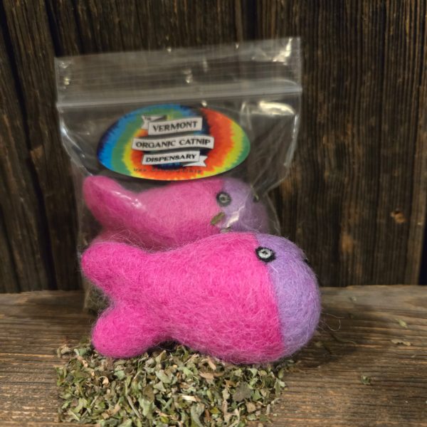Fish in a Bag